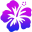 nuimedia.com