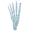 nwfootankle.com