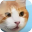 nyantaro.jp