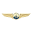 nycairservice.com