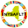 nysaflt.org