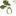 oakridgewines.com.au