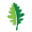 oaktreefamilydental.com