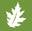 oaktreesupplies.com