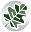 oakwoodcapital.com