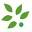 oasisoflearning.com