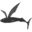 oceancruisingclub.org