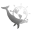 oceanlegacy.ca