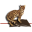 ocelotos.gr
