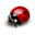 okrumir.ru