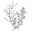 olivesnthyme.com
