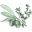 olivethyme.com.au