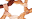 omidedarman.com