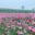 onemore-korea.site