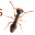 open-cells.com