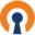 openvpn.net