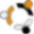 opticiansclub.com
