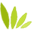 optnation.com