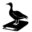 orator.is
