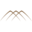 oravis.com