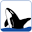 orca.financial