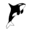orcaweb.org.uk