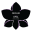 orchidandopal.com