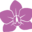orchidbliss.com