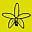 orchideenvermehrung.at