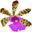orchideenwlodarczyk.de