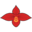 orchidweb.com