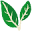 organic-lingua.eu