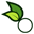 organicco.pk