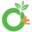 organicpositive.in