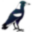 originateve.org
