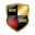 orlandolimotours.com