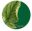 ortiga.be