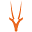 oryx.com