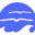 oslri.org