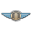 ottoinstrument.com