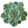 ovata.nl
