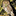 owlcroft.net