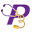 p3care.com