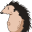 paciat.com