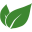 paichaoclinic.com