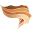 paintedearthskincare.com