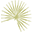 palmorleans.com
