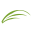 palmsimaging.com