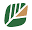 palmyou.com