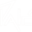 palo.com.do